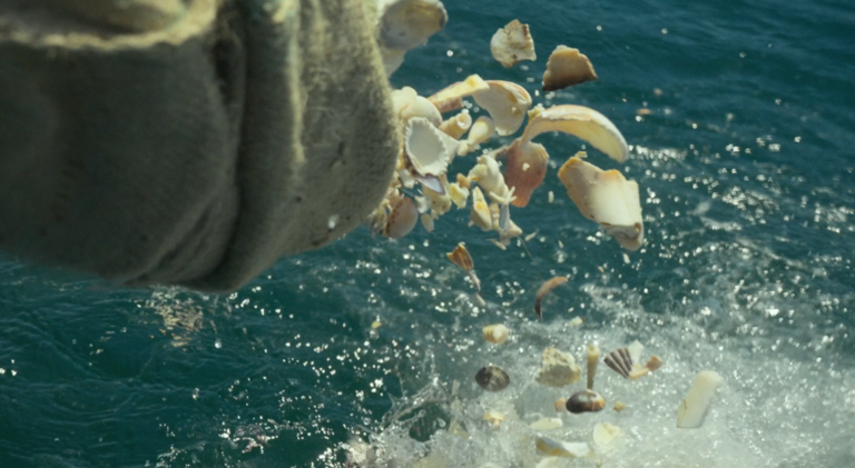 Costa Rica pone a disposición de comunidad científica el modelo que hizo posible la devolución de 36.000 conchas a su lugar de origen